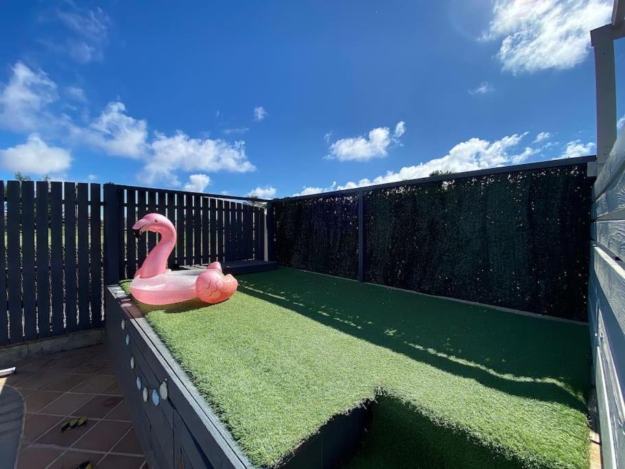 Comfortable Family House With Pool And Jacuzzi Costa De Antigua Exteriör bild